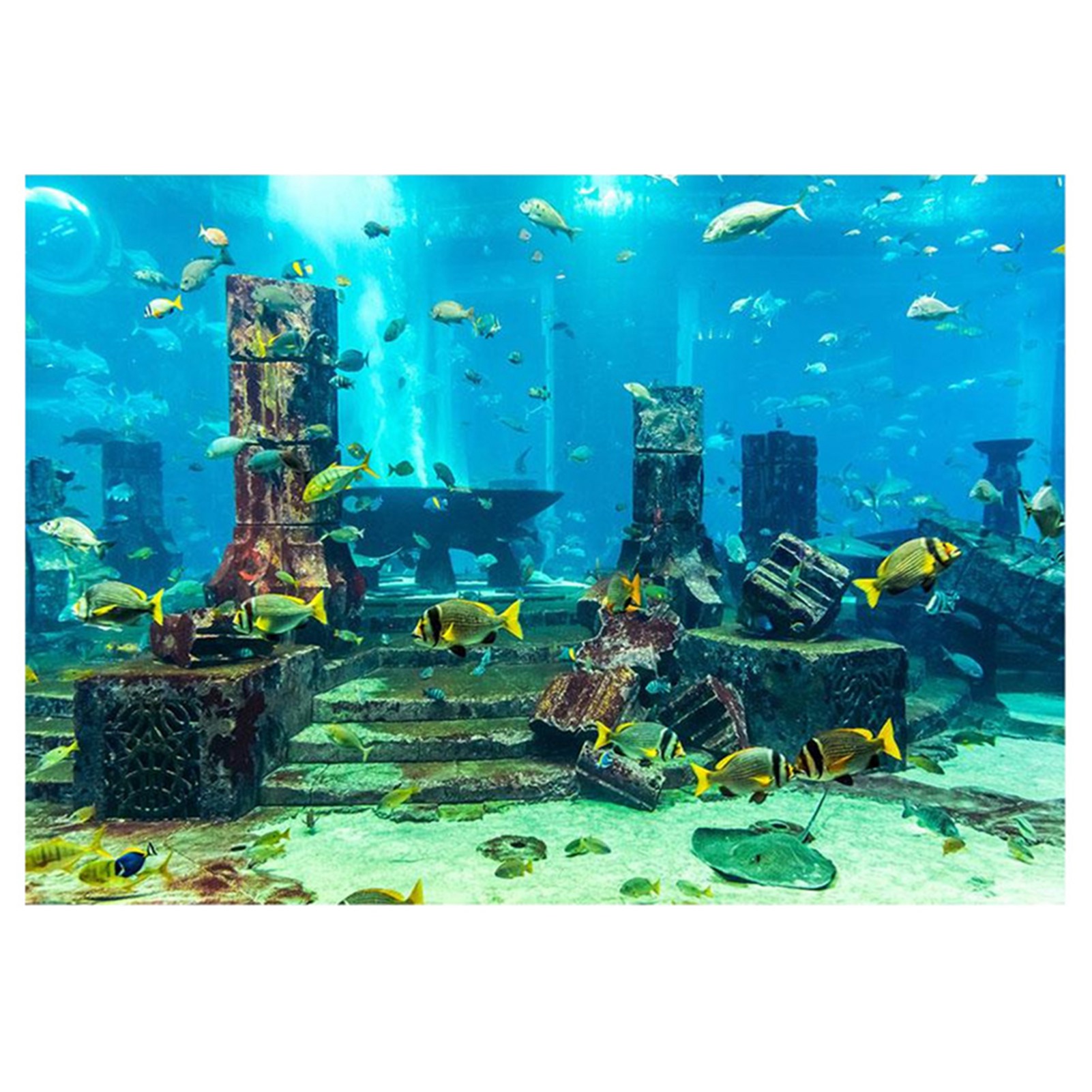 Aquarium Fish Poster - ZK20 Koraal Aquarium Achtergrond Onderwater Poster