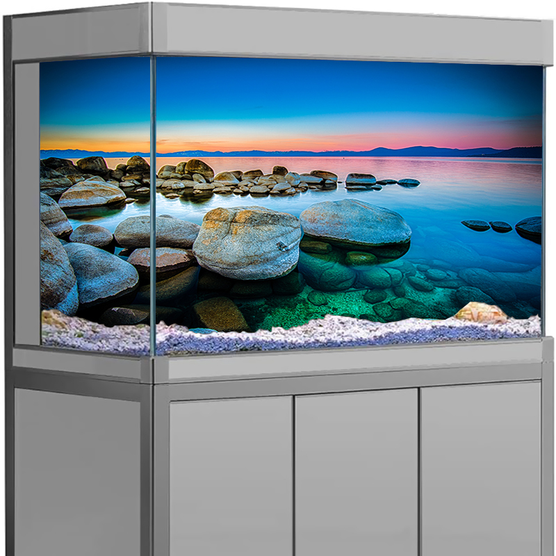 Aquarium Fish Poster - Aquarium Achtergrond Sticker Steen Zeezicht Poster