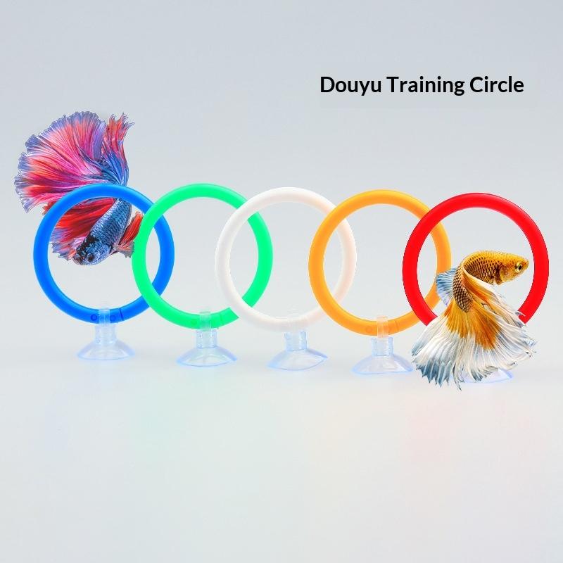 Aquarium Fish Game - Aquarium Betta Vis Trainingsringen Set 4