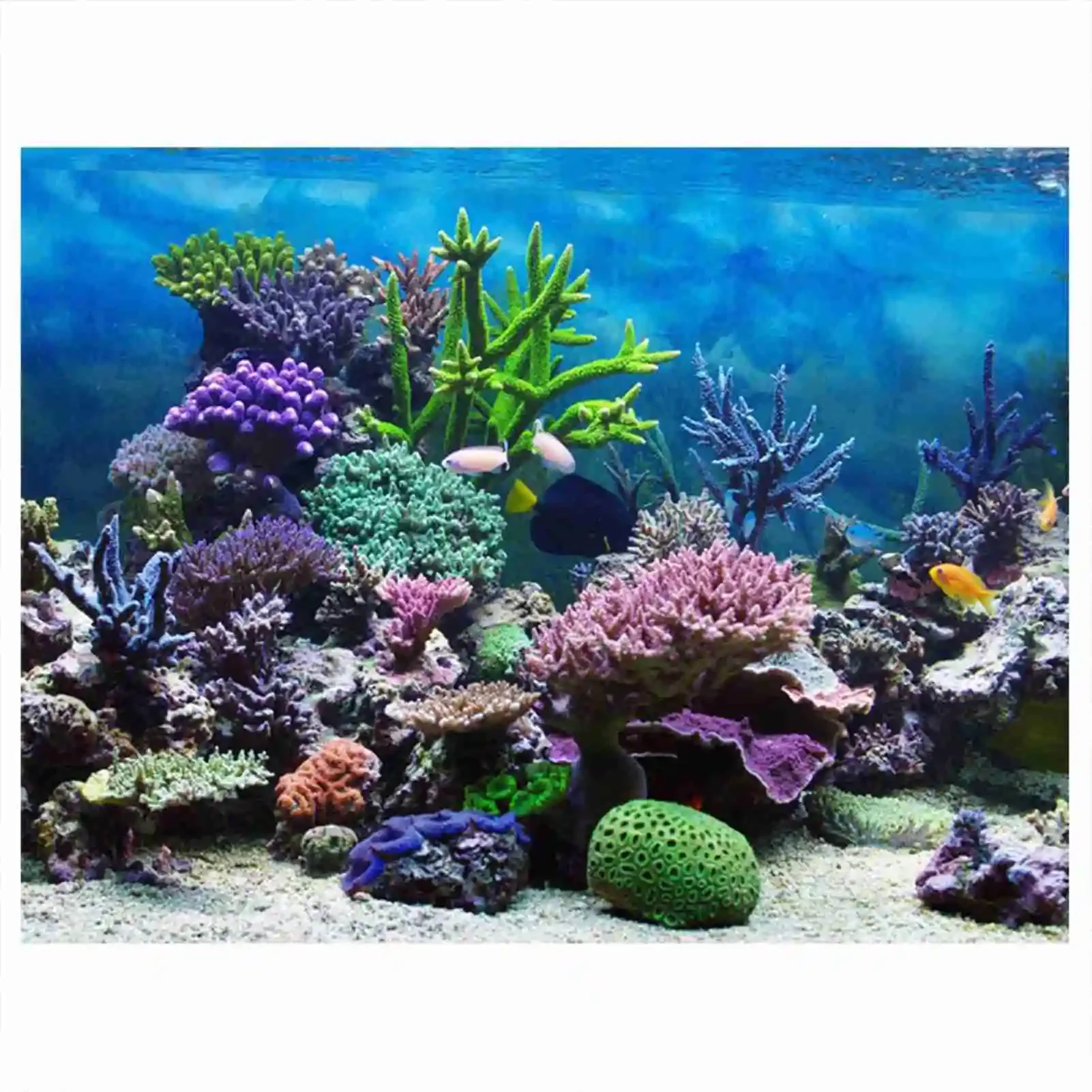 Aquarium Fish Poster - 3d Aquarium Landschap Poster Regenwoud Behang