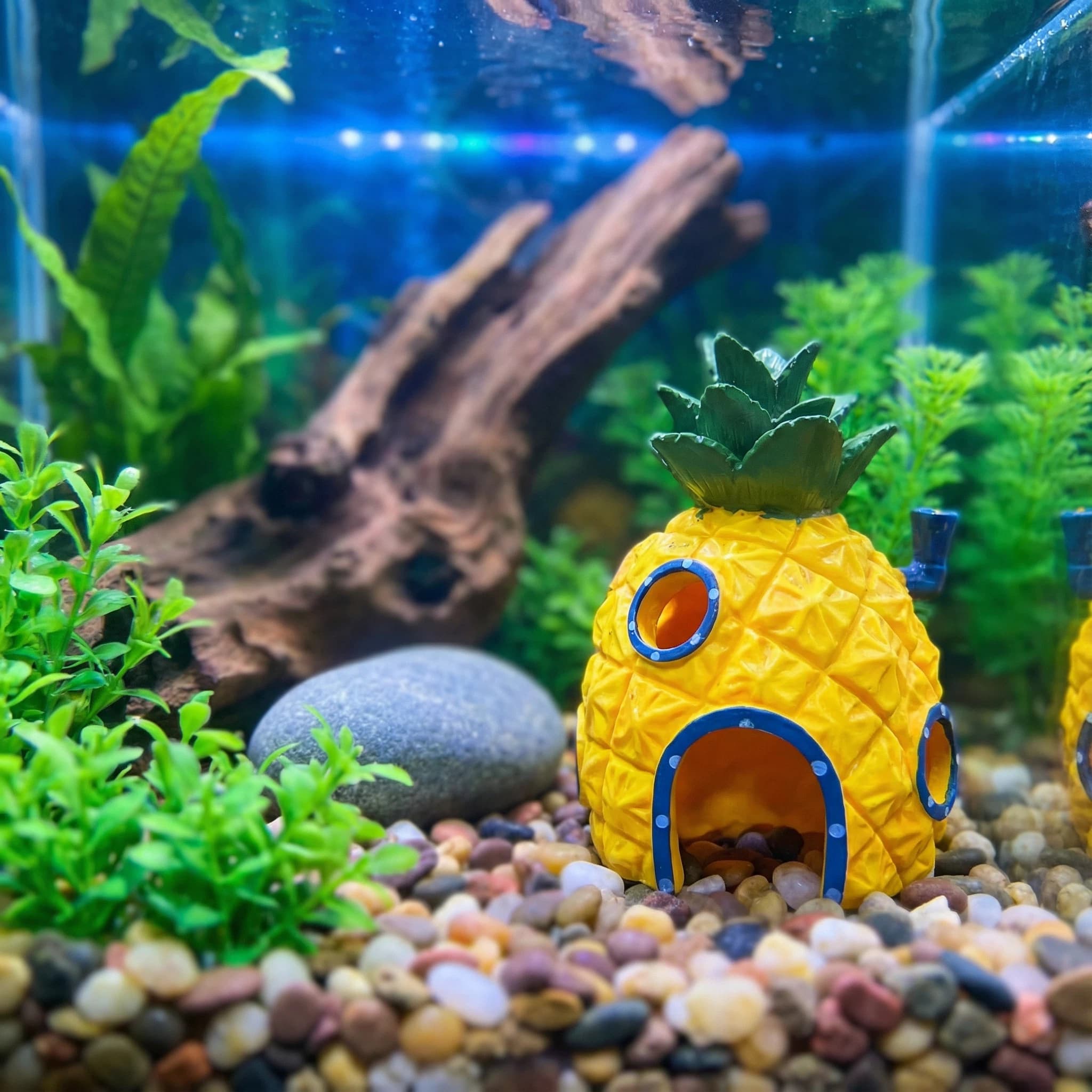 Aquarium Fish Games - Ananas Huis Aquarium Decor, Milieuvriendelijke HuidigeH