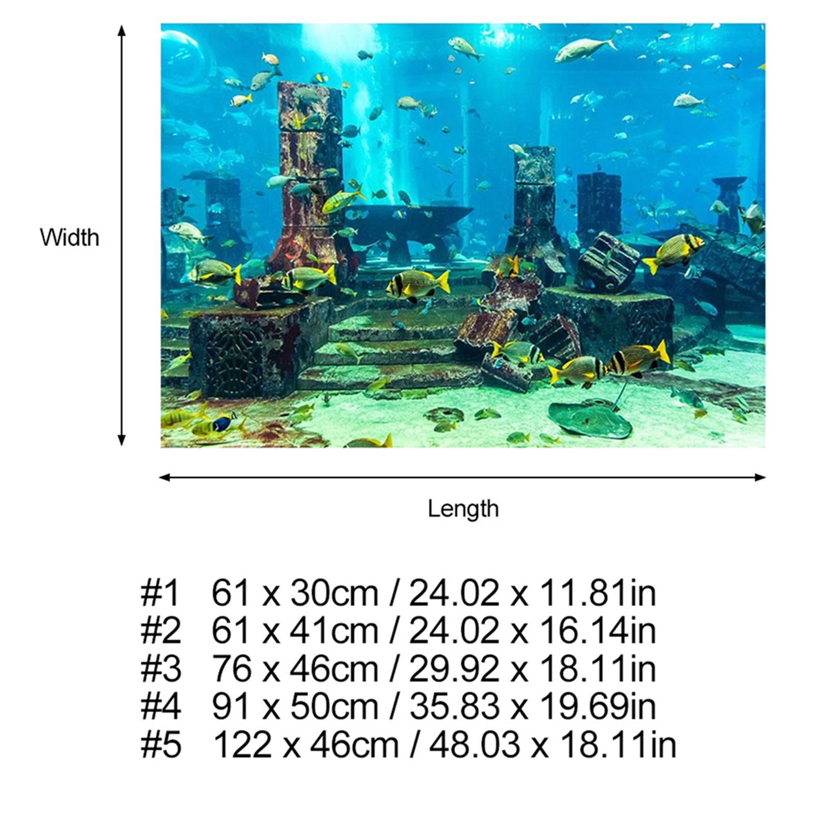 ZK20 Koraal Aquarium Achtergro - Aquarium Fish Poster recensie en prijs