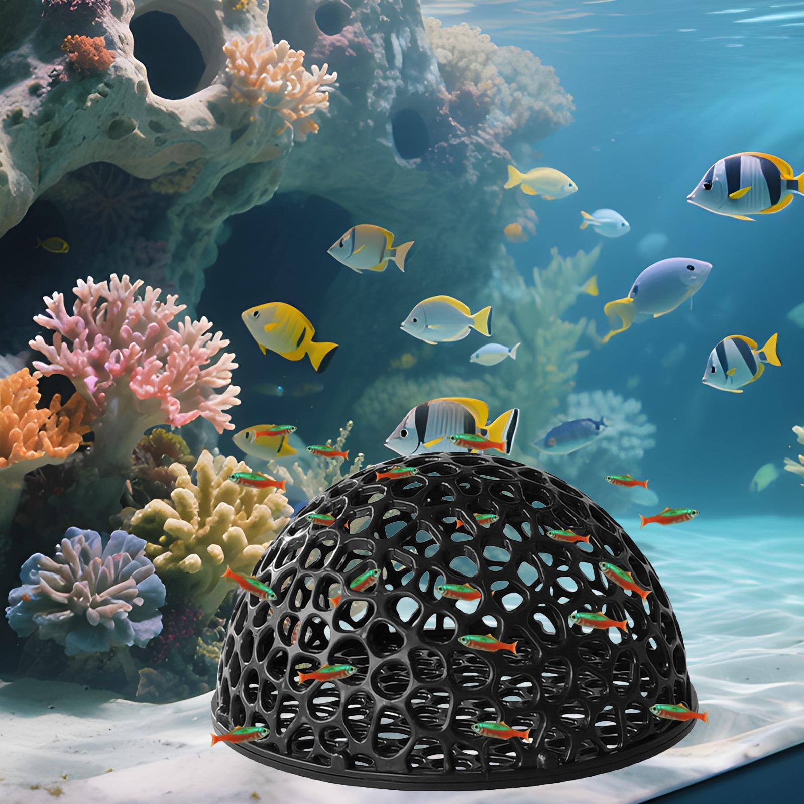 Aquarium Verbergen Grot Onderd - Aquarium Fish Games recensie en prijs