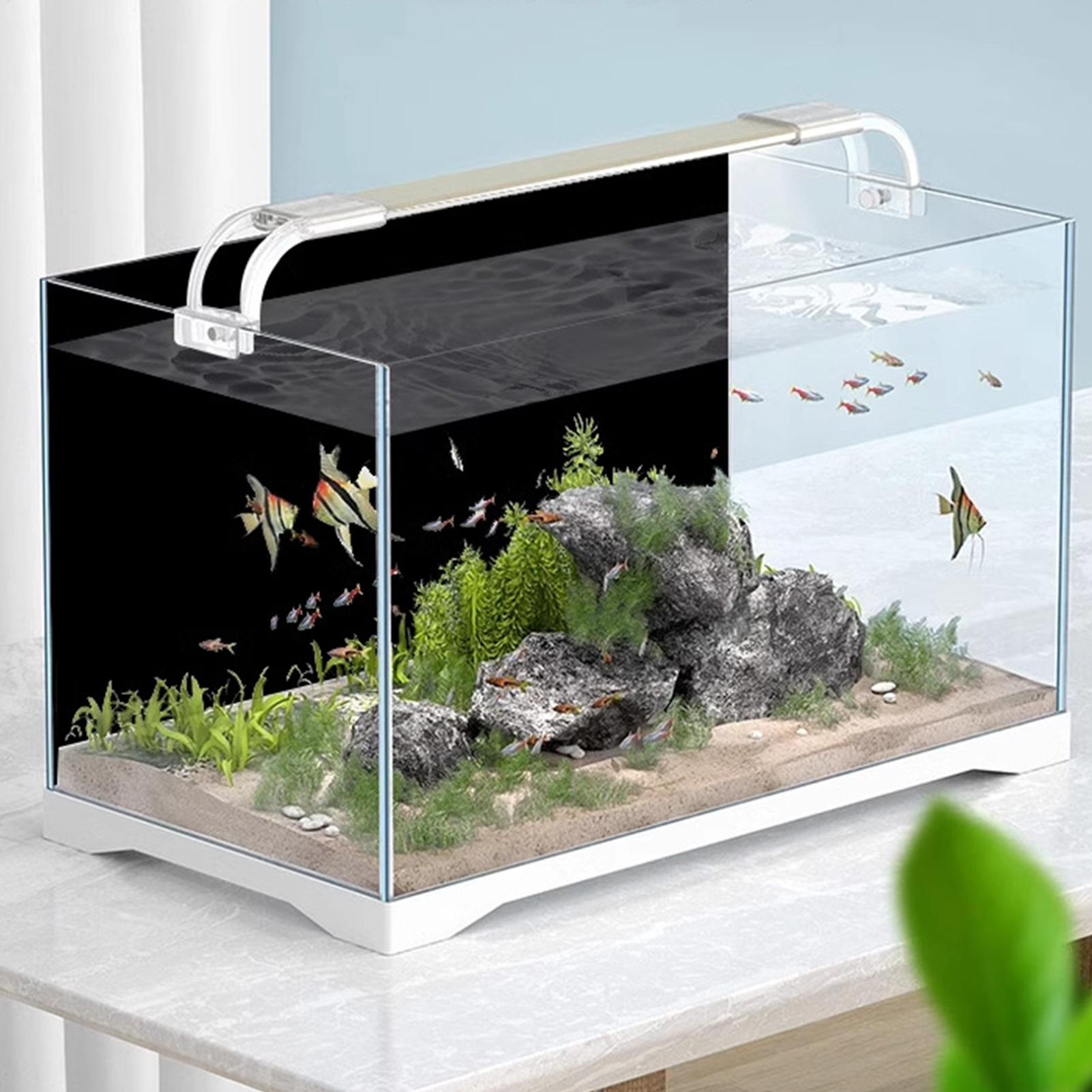 Aquarium achtergrond sticker,  - Aquarium Fish Poster recensie en prijs