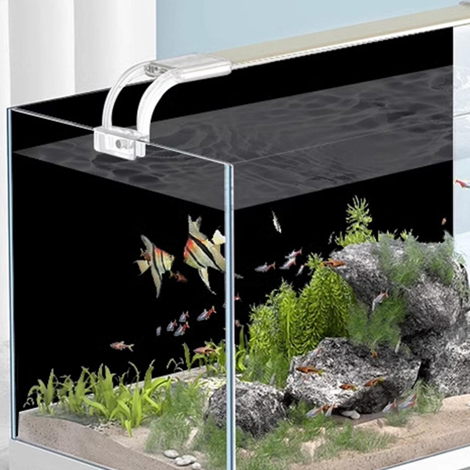 Aquarium achtergrond sticker,  - Aquarium Fish Poster recensie en prijs