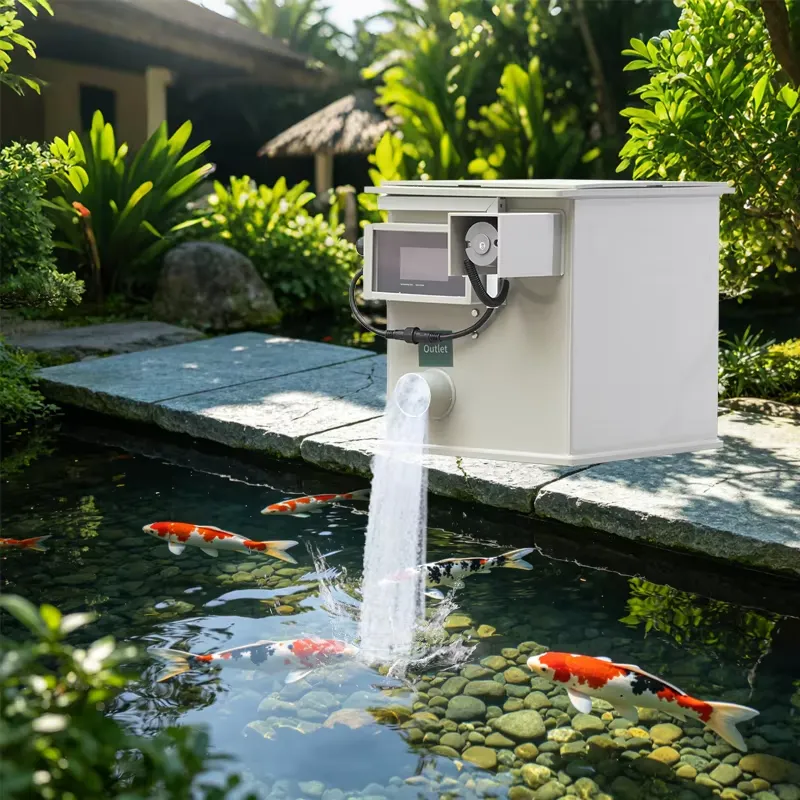 QihangRAS Fabrieks Prijs Hoge  - Aquarium Fish High Price recensie en prijs