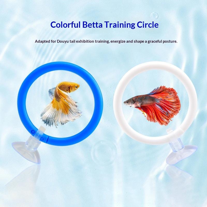 Groothandel Kleurrijke Betta V - Aquarium Fish Game recensie en prijs