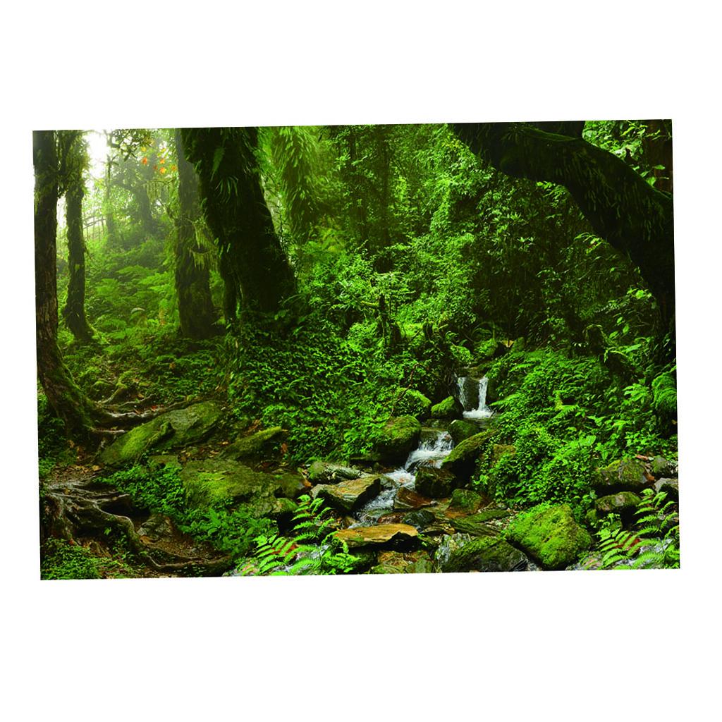 Aquarium Achtergrond Poster Le - Aquarium Fish Poster recensie en prijs