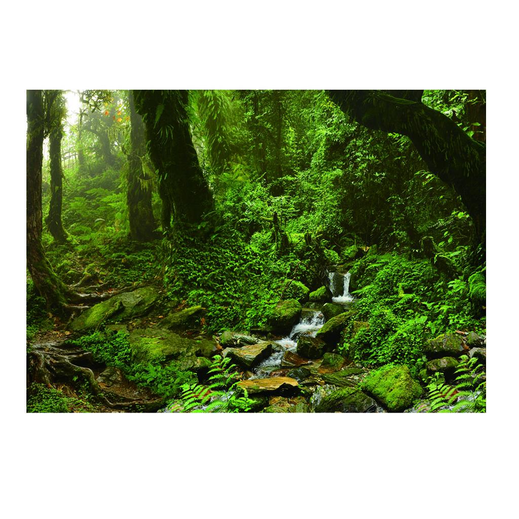 Aquarium Achtergrond Poster Le - Aquarium Fish Poster recensie en prijs
