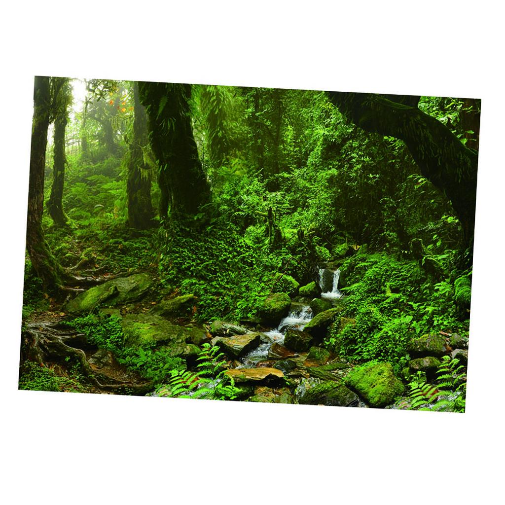 Aquarium Achtergrond Poster Le - Aquarium Fish Poster recensie en prijs