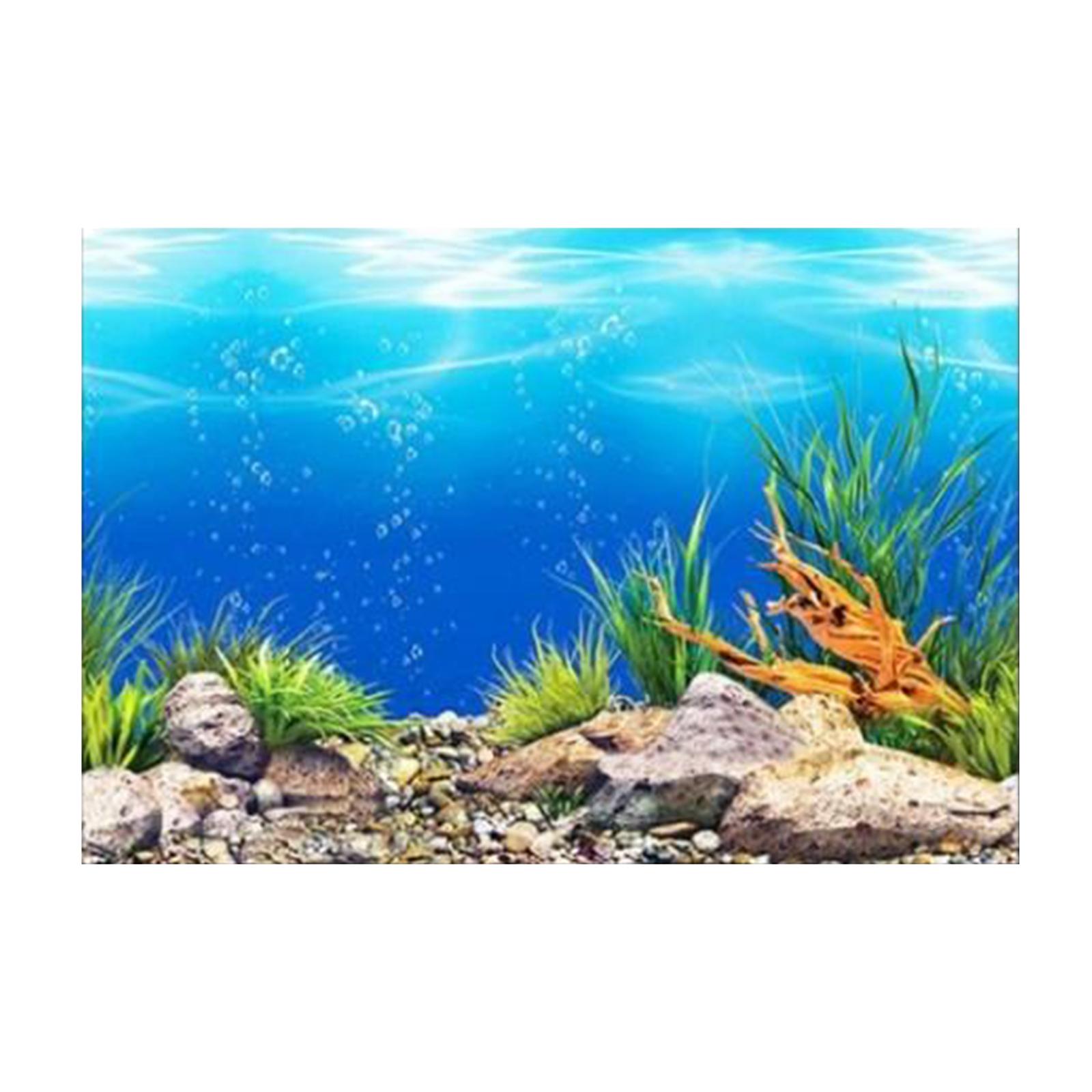 3D-effect aquarium achtergrond - Aquarium Fish Poster recensie en prijs