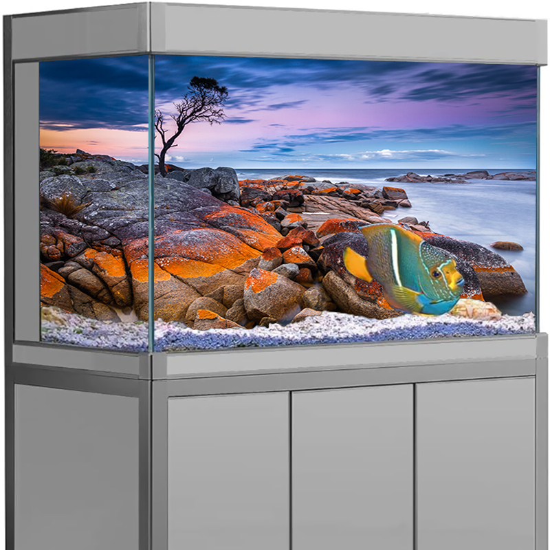 Aquarium Achtergrond Sticker S - Aquarium Fish Poster recensie en prijs