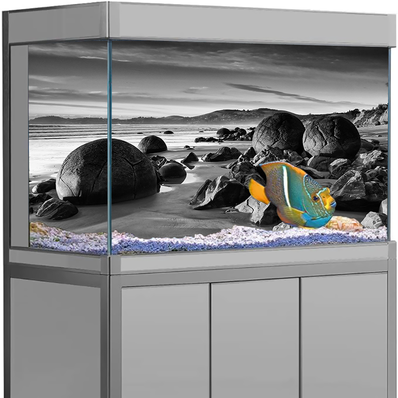 Aquarium Achtergrond Sticker S - Aquarium Fish Poster recensie en prijs