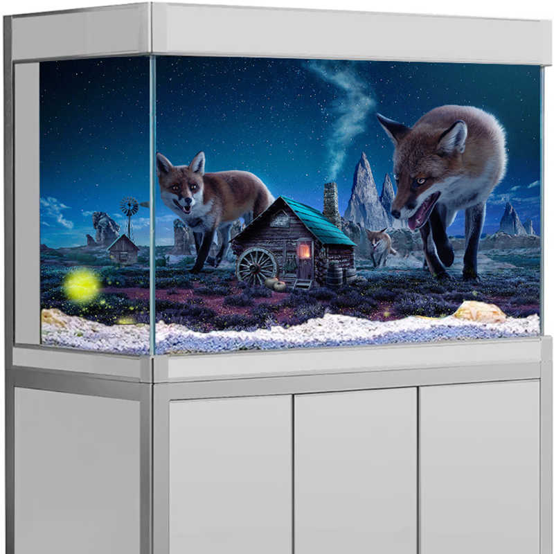 Aquarium achtergrondsticker My - Aquarium Fish Poster recensie en prijs