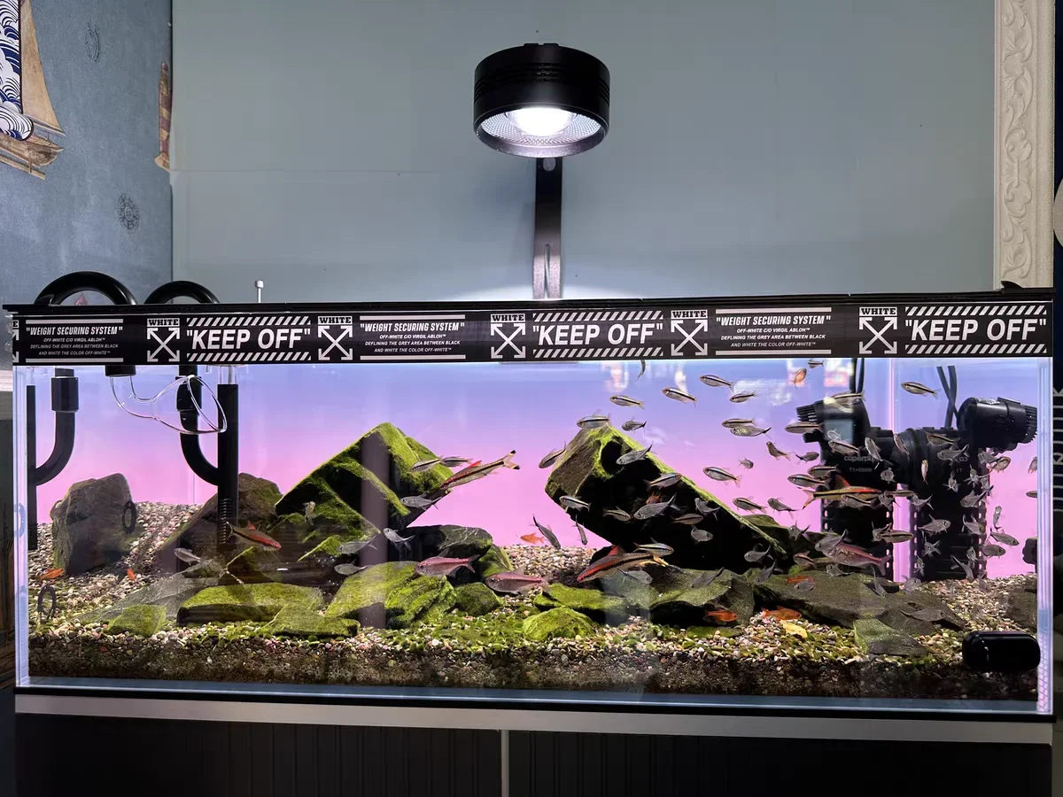 RGB Acryl Aquarium Achtergrond - Aquarium Fish Colour recensie en prijs