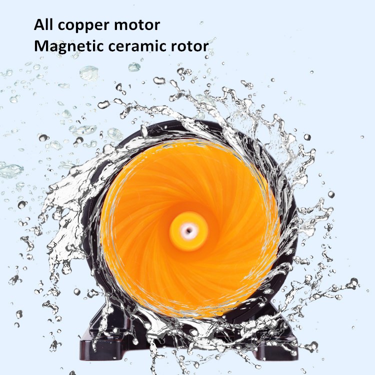 Aangepaste fabriek groothandel - Aquarium Fish High Price recensie en prijs