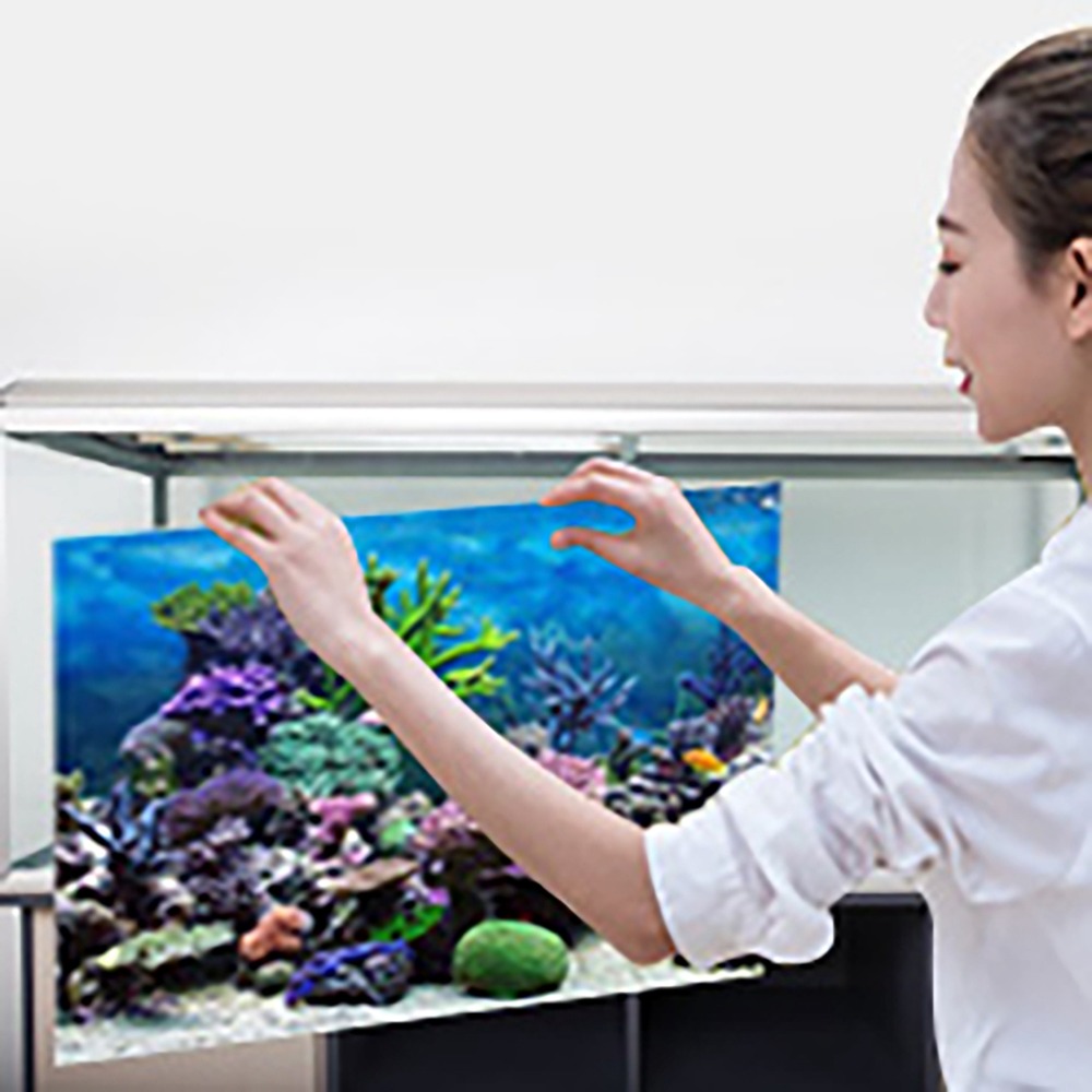 PVC Aquarium Achtergrond Poste - Aquarium Fish Poster recensie en prijs