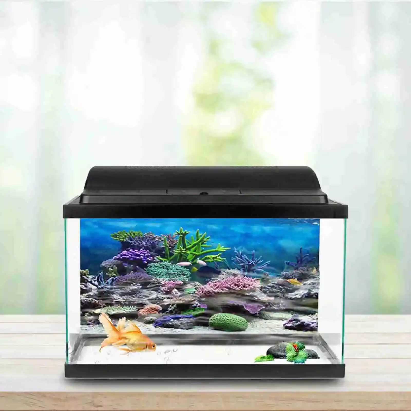 3d Aquarium Landschap Poster R - Aquarium Fish Poster recensie en prijs