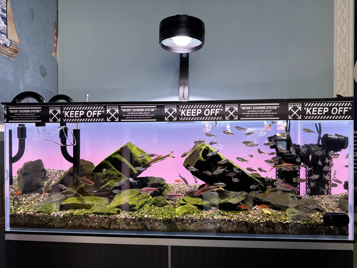 RGB Acryl Aquarium Achtergrond - Aquarium Fish Colour recensie en prijs