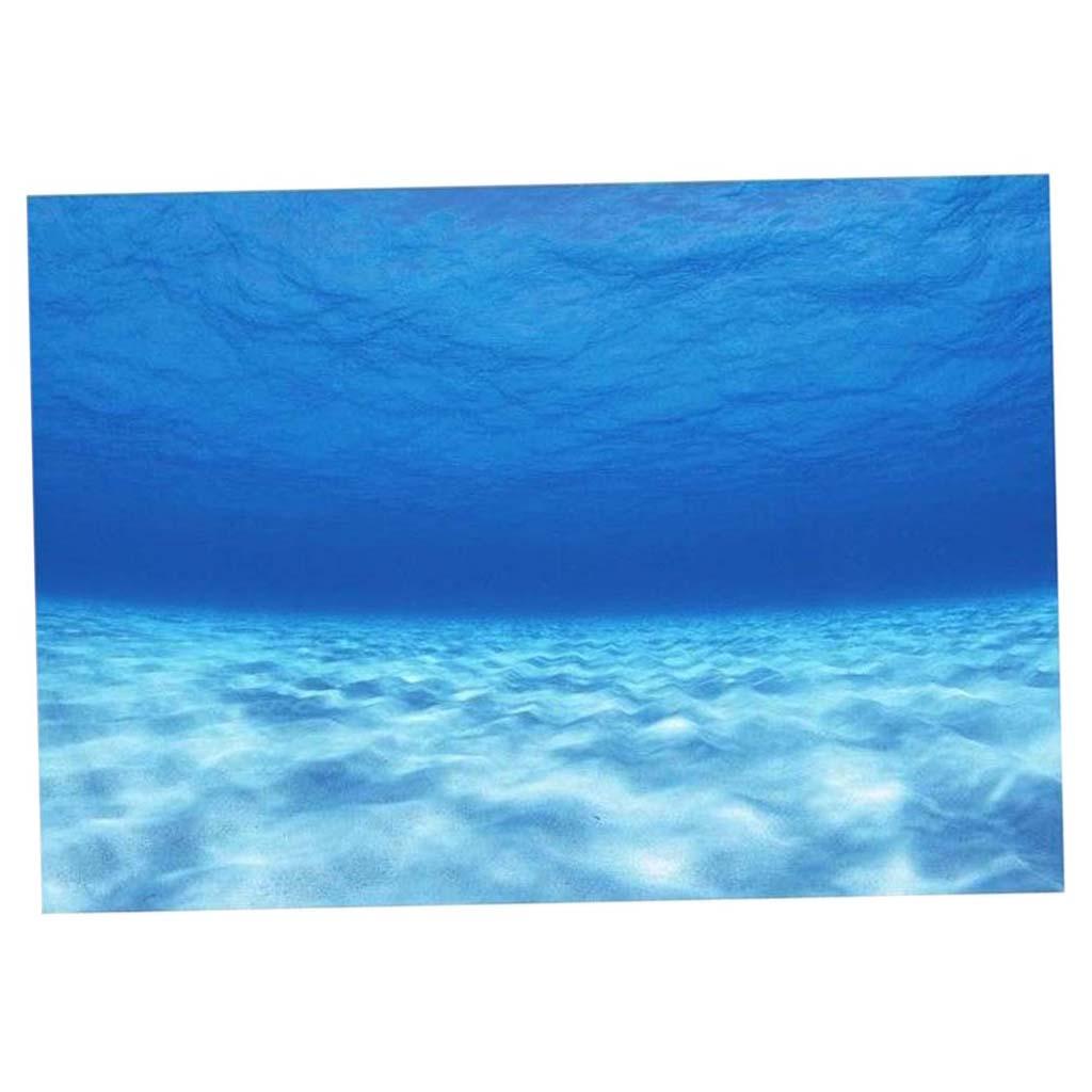 Kant decoratieve aquarium acht - Aquarium Fish Poster recensie en prijs