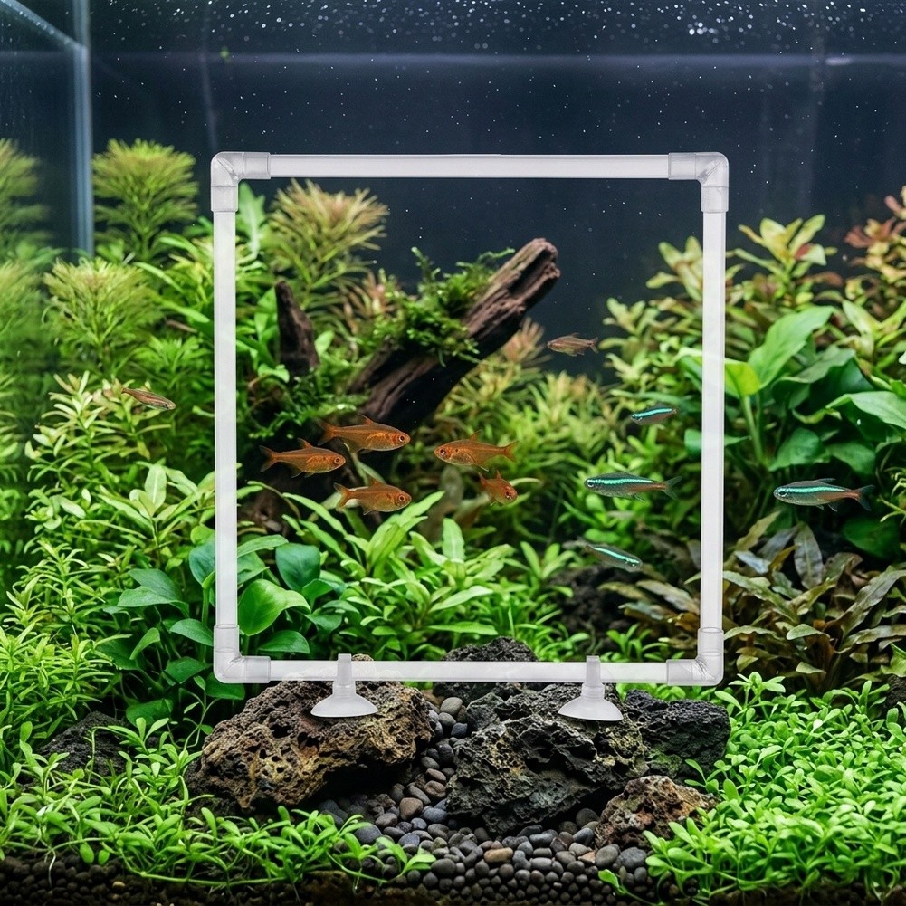 Aquarium drijvende plantenbak  - Aquarium Fish Zone recensie en prijs