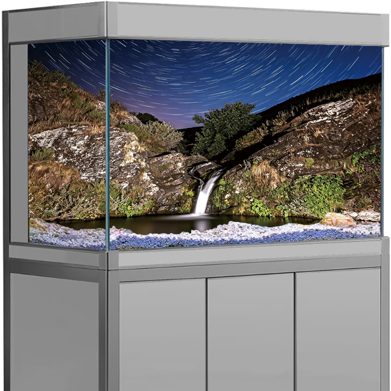 3D Tropisch Strand Oceaan Eila - Aquarium Fish Poster recensie en prijs