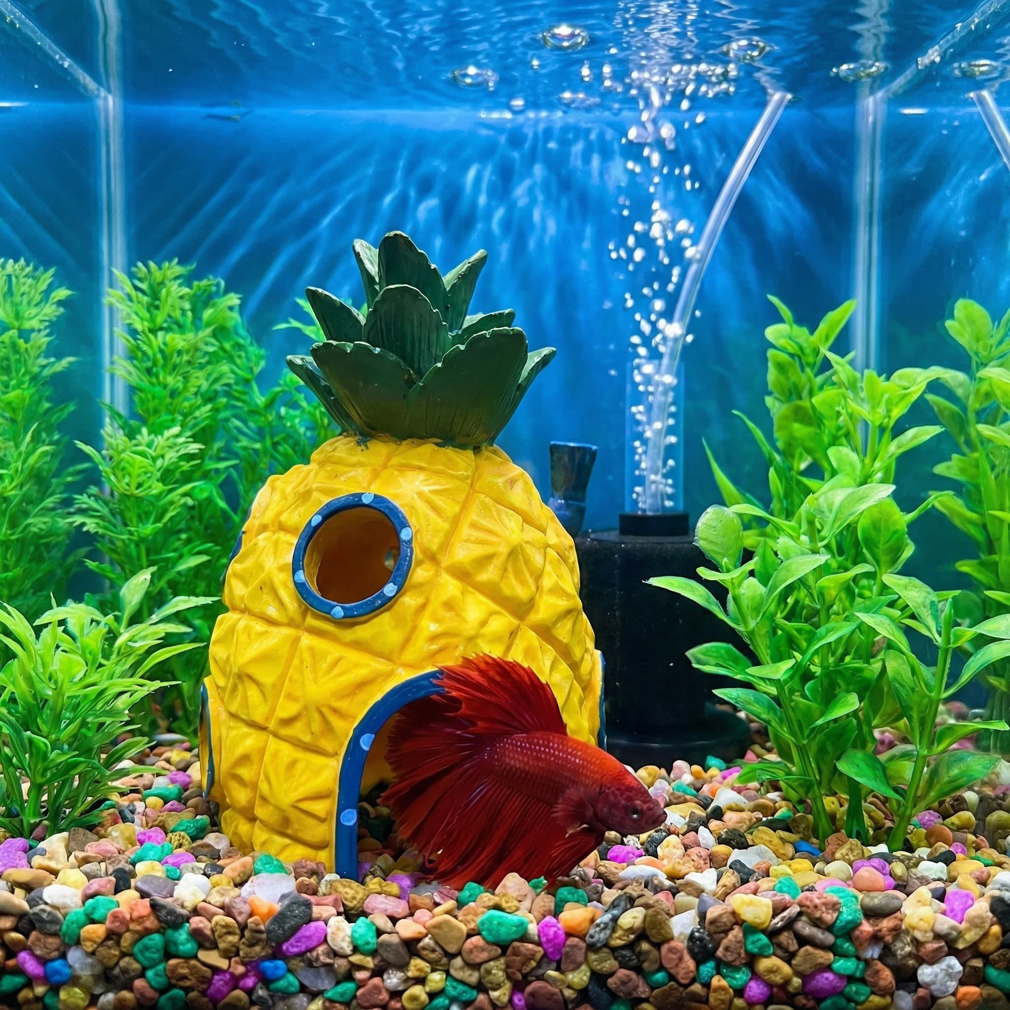 Ananas Huis Aquarium Decor, Mi - Aquarium Fish Games recensie en prijs