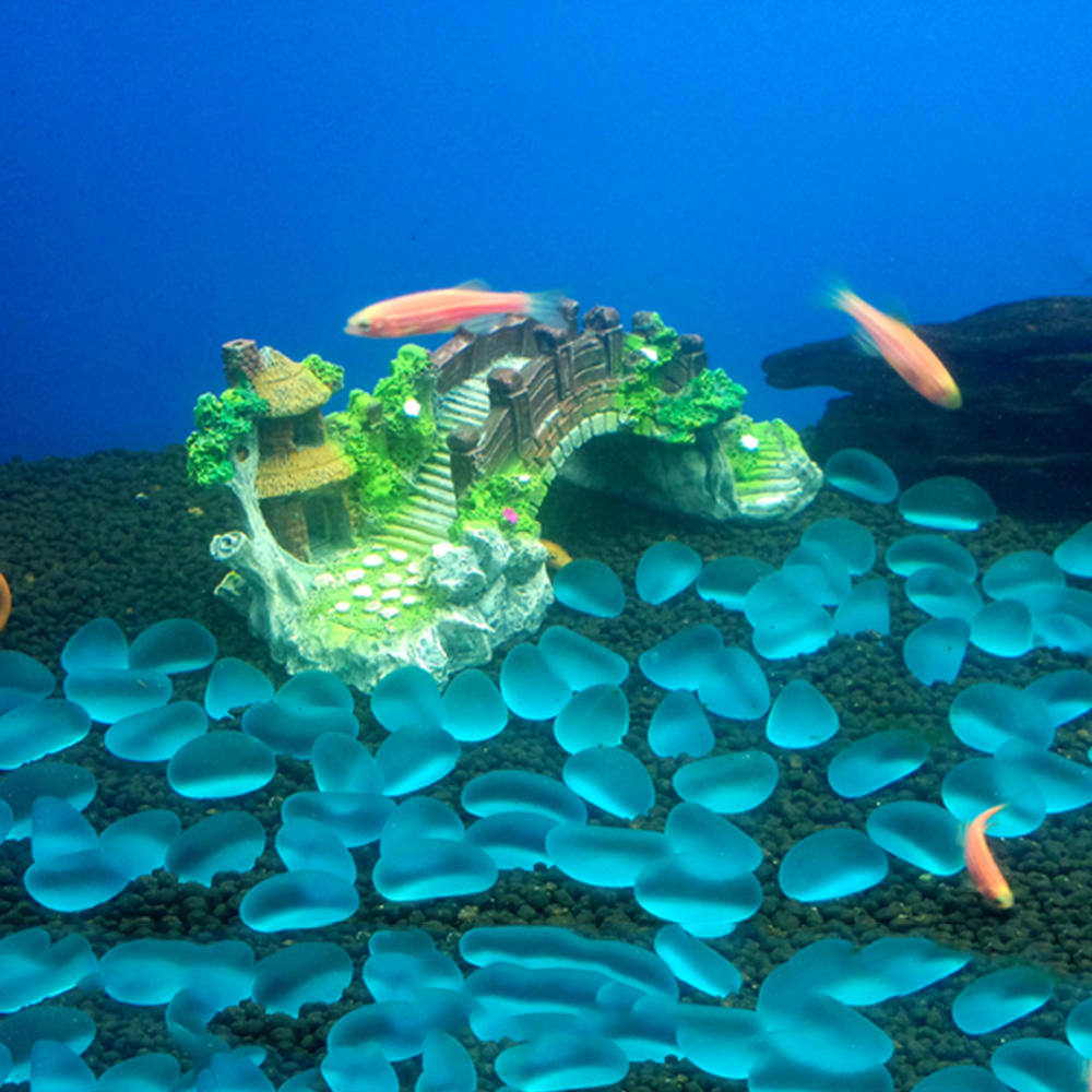 Aquarium Accessoires Prieel Bo - Aquarium Fish Games recensie en prijs