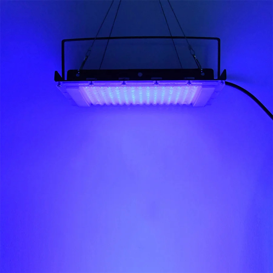 300W UV 395nm Zwart Licht Ultr - Aquarium Fish Poster recensie en prijs
