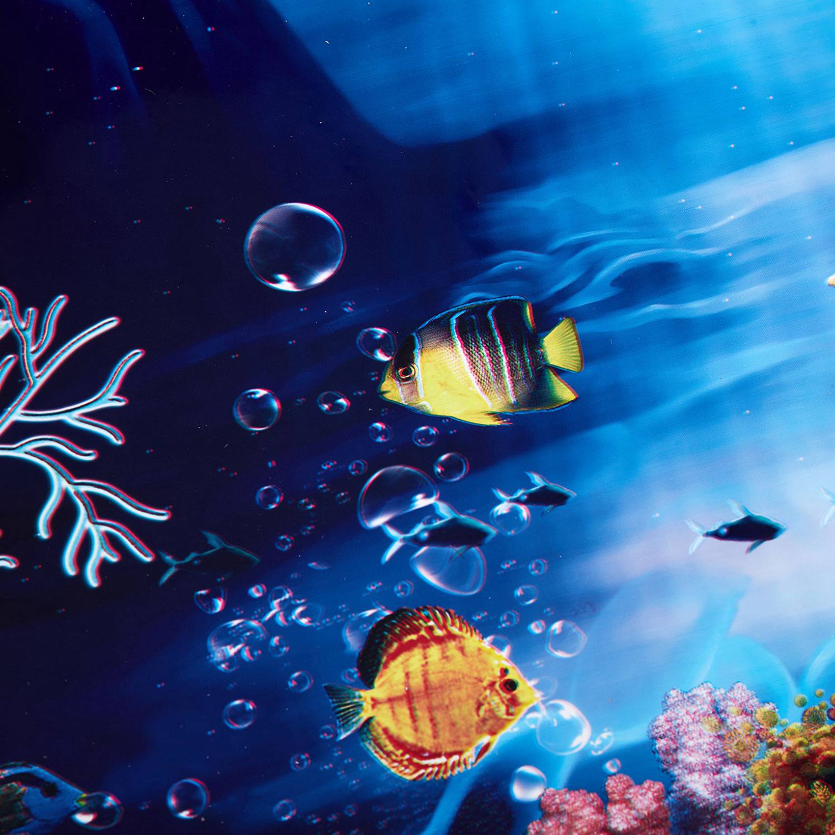 2X Blauwe frisse zee achtergro - Aquarium Fish Poster recensie en prijs